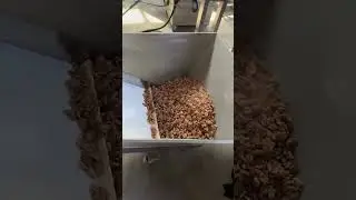 honey walnut production line #walnut #Korea #koreafactory #Koreasnacks #snack #호두커널 #허니월넛커널