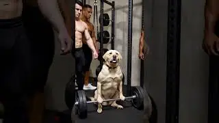 Puppy Working Out at the Gym | Funny and Strong Fitness Dog 💪🐶 #puppy #cute #dog #funny #cat