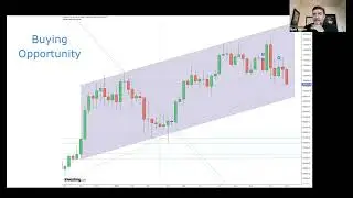 Market Update - The Macro is intact!