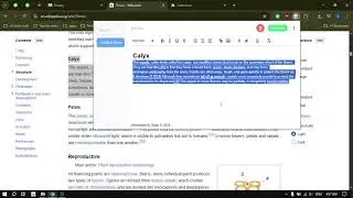 Easy Note – Take Notes Instantly in Your Browser | Chrome Extension