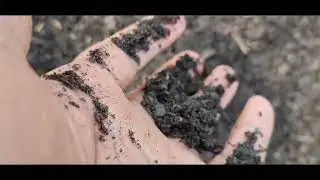 San Jose Professional Full Landscape Renovation - Irrigation Plants 🪴 Resod & more