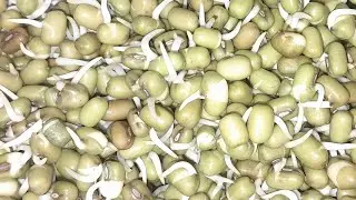 ANNAM VEETU SAMAYAL   is live