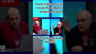 Calinescu  : ești un dobitoc #romania #romanian #rom&acirc;nia #short #viral #video #fyp #stiri #diaspora