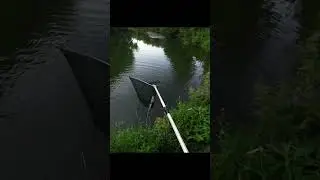 #спининг #fishing #щука  #shortvideo #рыбалка