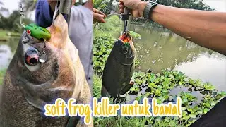 Casting ikan Bawal MONSTER❗hanya menggunakan softfrog mini