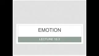 Psy 202Z Ch 10.3 Emotion