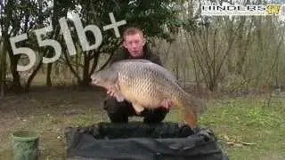 Best Hookbait Enhancer For Carp - Betalin & Black