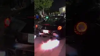 #dailydrivenexotics