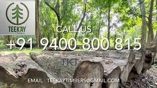 Nilambur Forest Teak Wood Logs, Forest Teak Timbers, teekay timbers