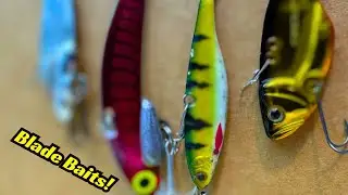 Which Blade Bait Would You Use?