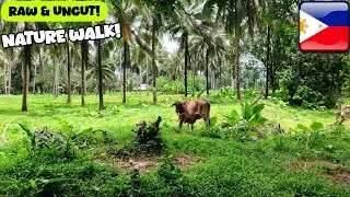 Philippines NATURE WALK with Foreigner!