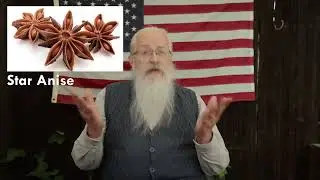 The Home Doctor Practical Medicine for Every Household