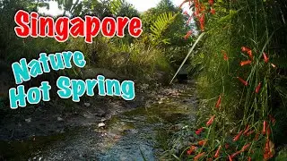 Singapore Nature Hot Spring - Sembawang Hot Spring Park