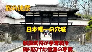 小諸城址　懐古園
