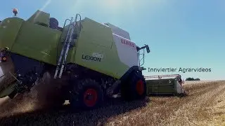 Claas Lexion 620 / Getreideernte 2018