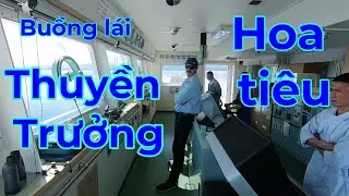 Vlog#57 Review to&agrave;n bộ qu&aacute; tr&igrave;nh Hoa ti&ecirc;u dẫn t&agrave;u h&agrave;nh tr&igrave;nh trong luồng tới điểm neo .