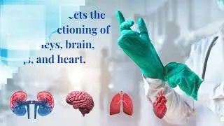 World Liver Day 2022 | Liver Cancer Symptoms and Change Healthy Lifestyle - BMCHRC