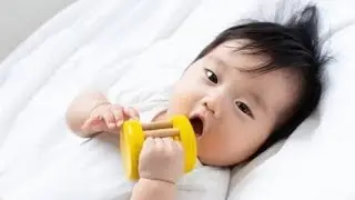 ✨キラキラの裏側に潜む危険⚠️ シールブームと小さな命の狭間で
