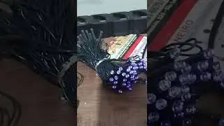 2026 esse ano t&ocirc; postando bastante v&iacute;deo