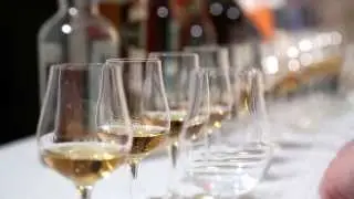 Tomasz Miler - degustacja whisky - MILER Spirits Academy