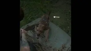 ELLIE KILLING DOGS #lastofus #ps5gameplay #shorts #short #ps5 #lastofuspart2 #ps4 #yt #dog