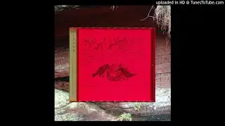 Thomas Bush - Requiem For Forest Glades