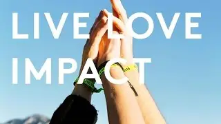 Live Love NGO Lebanon Impact Report