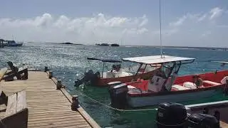 4k aruba - zeerovers restaurant