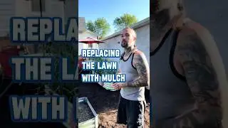 How I replace my lawn with mulch in the garden. #gardening #garden #lawn