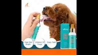 Renna's Pet Oral Spray Oral Care Spray Teeth Cleaning Dog Toothbrush Spray Dog Toothpaste Cat Spray