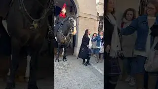 Guard&rsquo;s massive shout! Get back! At Horse Guards. #london  #shorts