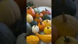 The Variety Of Pumpkin  That We Grow