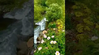 Feel nature Beauty with nice song &hearts;️ #shorts #Mahadabblers
