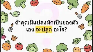 ปฏิวัติเช่าแปลงผักในเมือง ด้วย Dr. Green Energy  Smart Farm