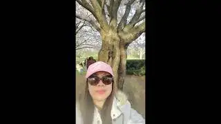 Cherry Blossom (Sakura) @ High Park 🌸🌸🌸 #cherryblossoms #sakura #highpark #naturelovers #enjoy