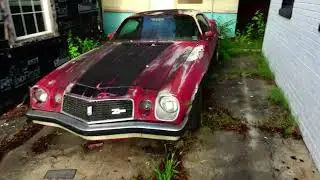 Finding Roadside Relics in Northern North Carolina