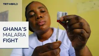 Aid cuts threaten Ghana's fight against malaria
