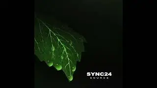 Sync24 - Woodland (Resurrected)