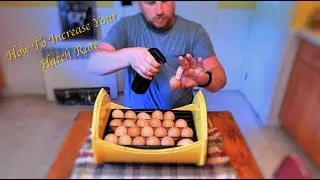 How to Improve Your Hatch Rate