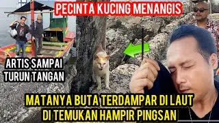 MENYELAMATKAN KUCING BUTA YANG DI BUANG KE LAUT SAMPAI MAU PINGSAN  KARENA PANAS..!