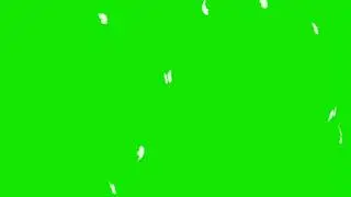 white butterfly green screen