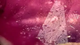 MICRO - Рубин под микроскопом. Рубин Мьянмы. MacroLife.