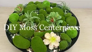 DIY Restoration Hardware Moss Centerpiece | How To Make A Moss Centerpiece | Dollar Tree DIY