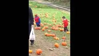 Fall06