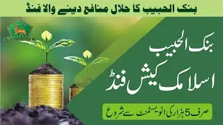 Bank AL Habib Islamic Mutual Fund Investment | Al Habib Islamic Cash Fund | Islamic Banking 2024