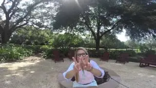 Vineyard Vines Whale Rep Video
