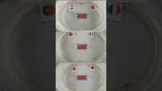 🐜 My Ants Euro 2020 predictions groupF #Shorts