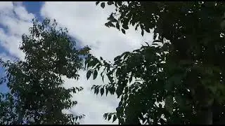 öz çekim yapmaya çalışan  masum köylüler 😄 24 Temmuz 2021