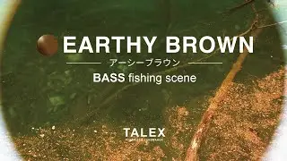 アーシーブラウンの見え方｜バス編【TALEX公式】