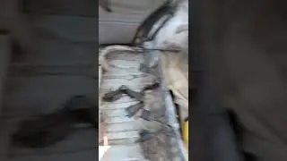 Розібрали Лейбу 😎😎😎
